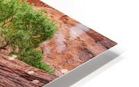 “Emerald Resilience” HD Metal print