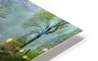  L2A0118 HD Metal print