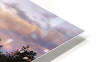 Bic HD Metal print