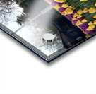 A beautiful view of the water fountain and color flowers Acrylic print