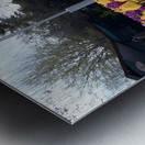 A beautiful view of the water fountain and color flowers Metal print