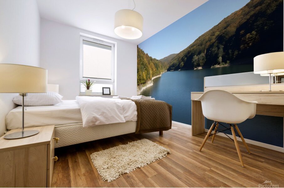 A stunning landscape of mountains trees and green leaves with water - Romania Mural print