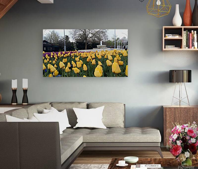 A beautiful view of the water fountain and color flowers Reproduction