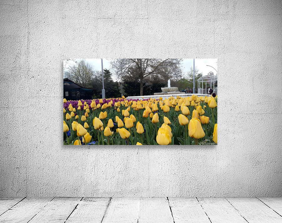 A beautiful view of the water fountain and color flowers Wall Preview