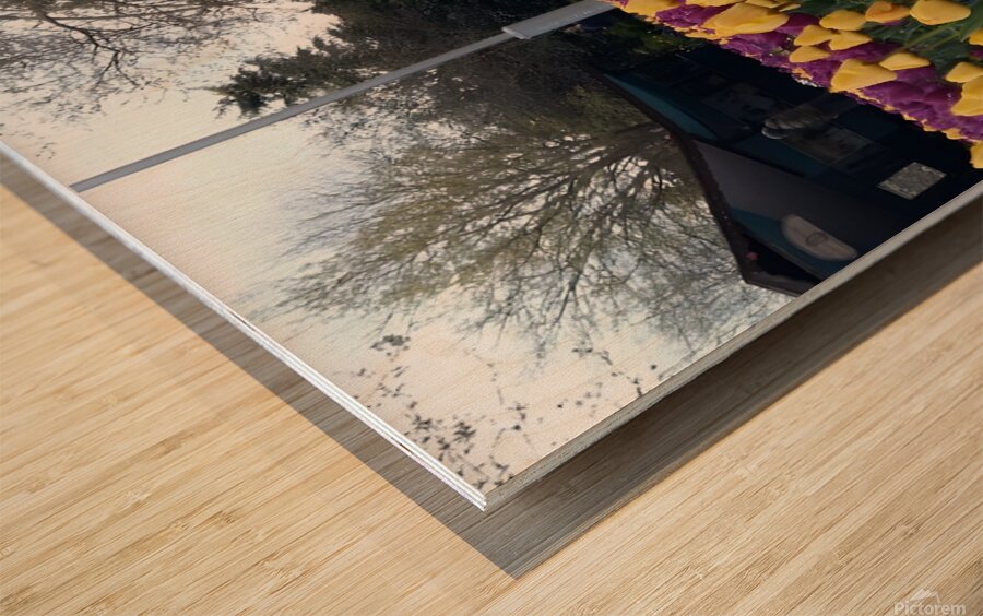 A beautiful view of the water fountain and color flowers Wood print