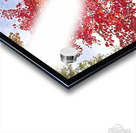 red maple Acrylic print