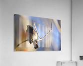 american redstart Acrylic Print