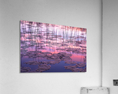 lilypads Acrylic Print