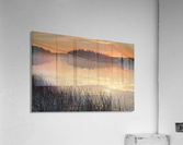 morning glow Acrylic Print