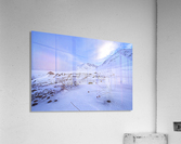 resilience Acrylic Print