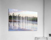 eddy Acrylic Print