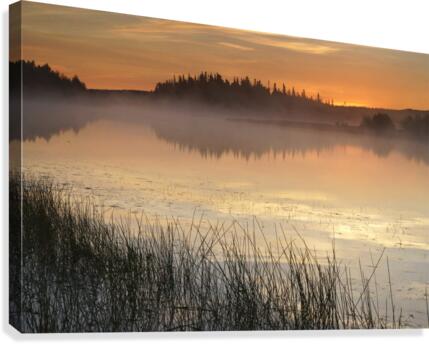 morning glow Canvas Print