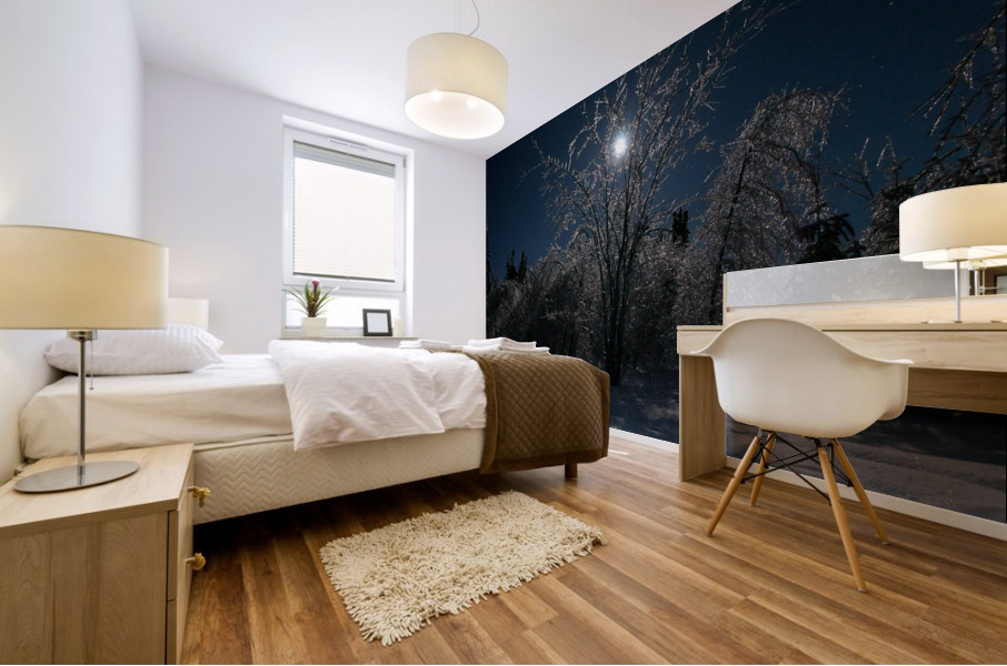 cold moon Mural print
