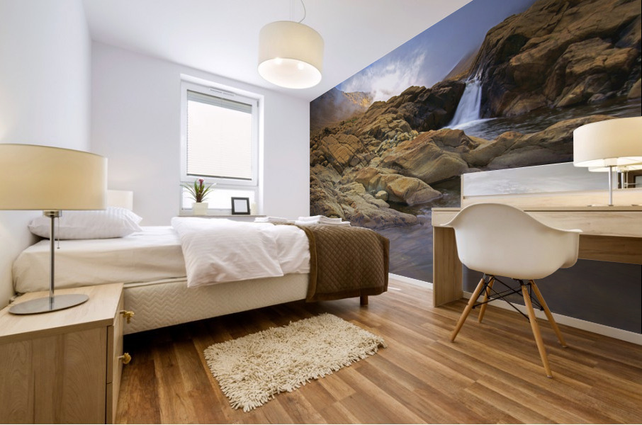 winterhouse brook Mural print