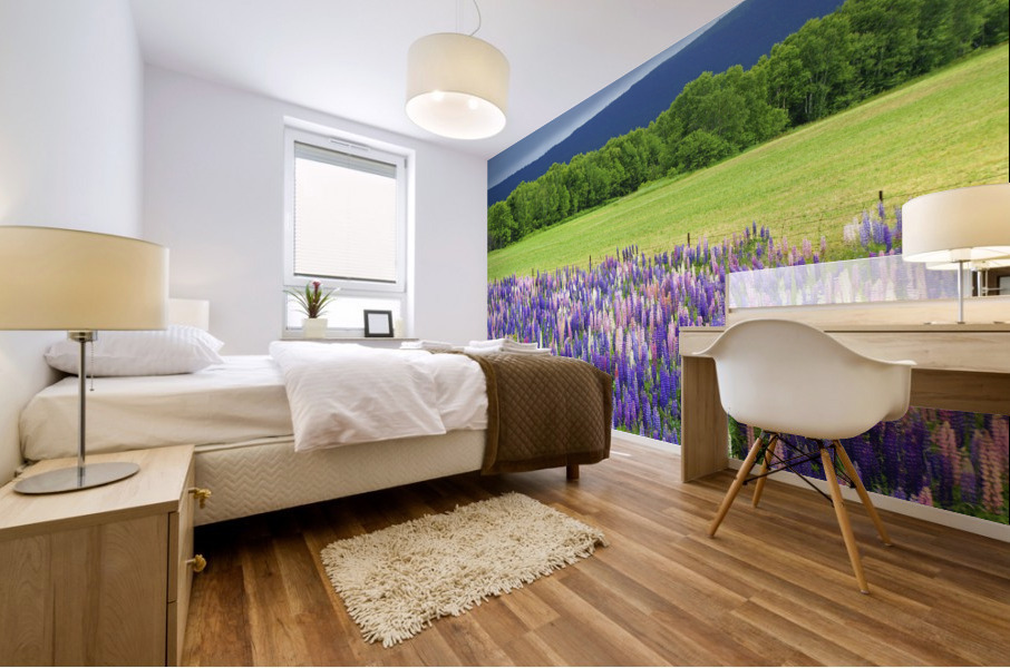 lupines Mural print