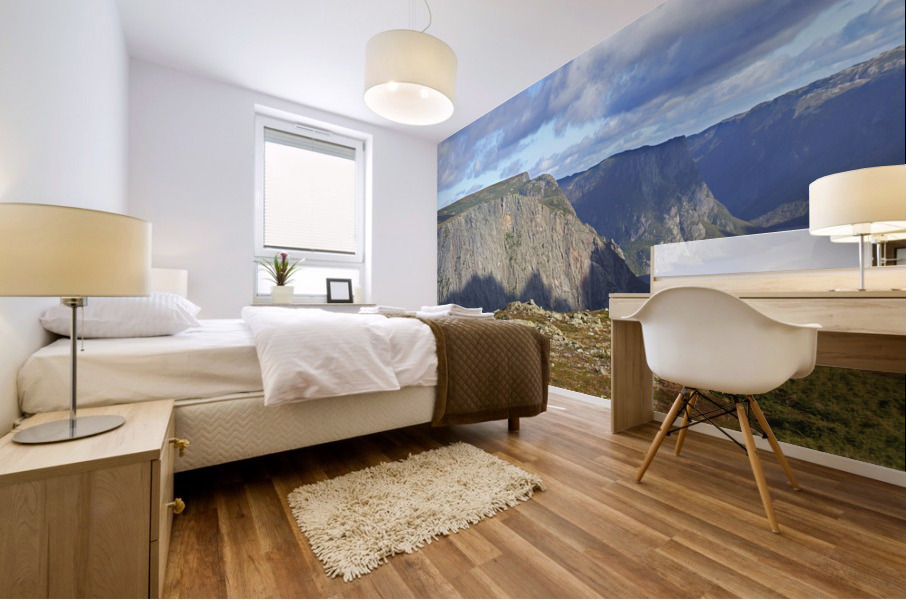 western brook gorge Mural print