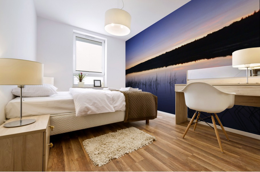 serenity Mural print