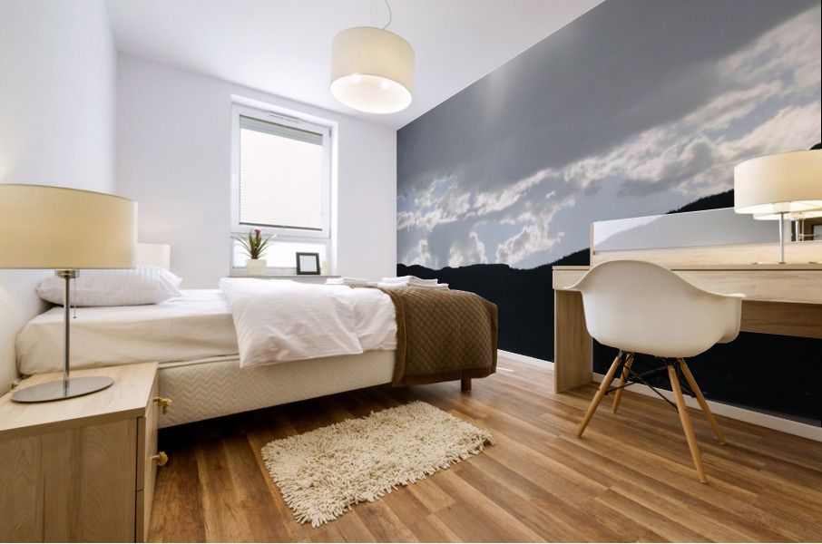 sunburst Mural print
