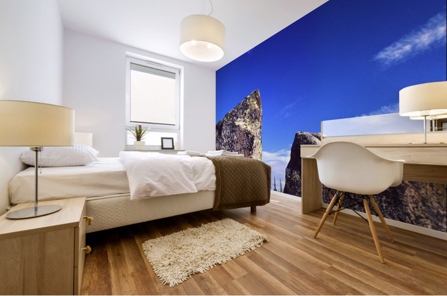erratics Mural print