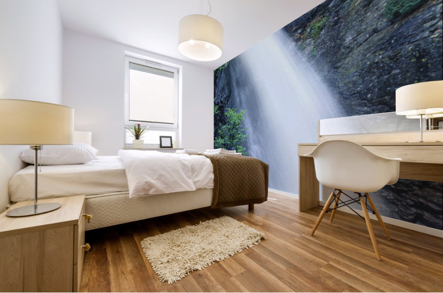 corner brook falls Mural print