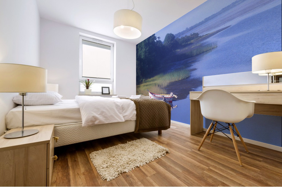 dories Mural print