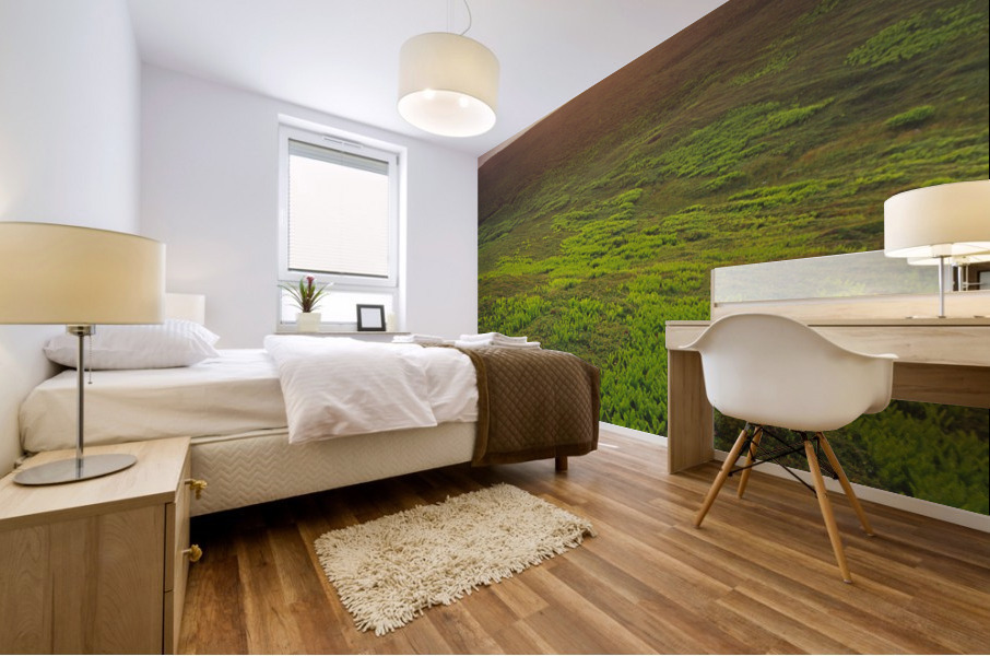 ferns Mural print