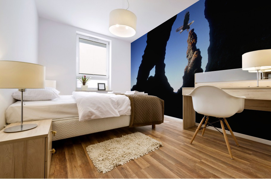 domain Mural print