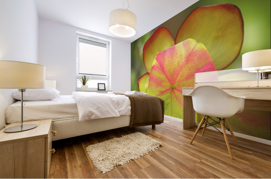 pitcher plant Mural print