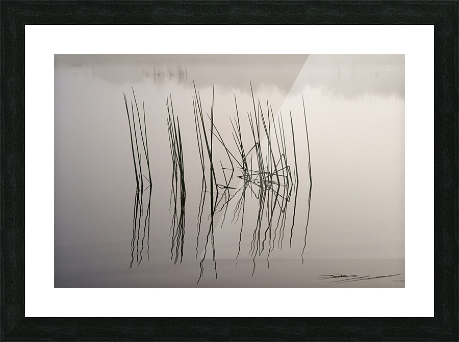 watery canvas Picture Frame print