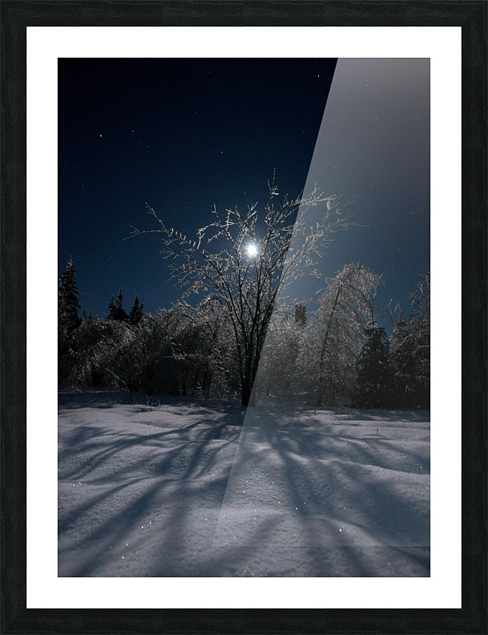 cold moon Picture Frame print
