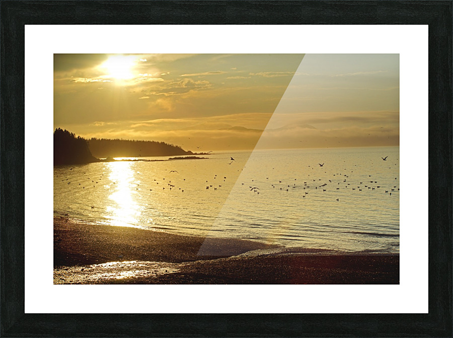 golden beach Picture Frame print