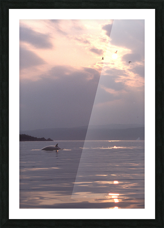minke Picture Frame print