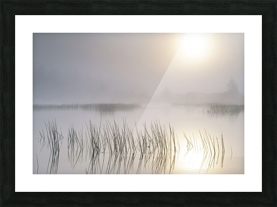 burning sun Picture Frame print