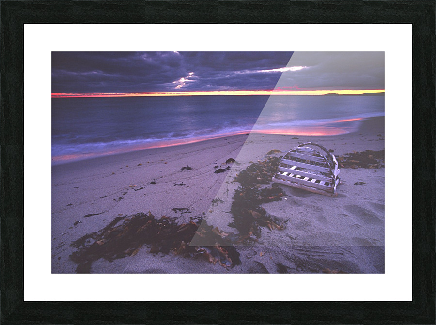 beached Picture Frame print