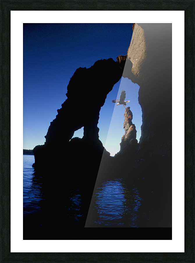 domain Picture Frame print