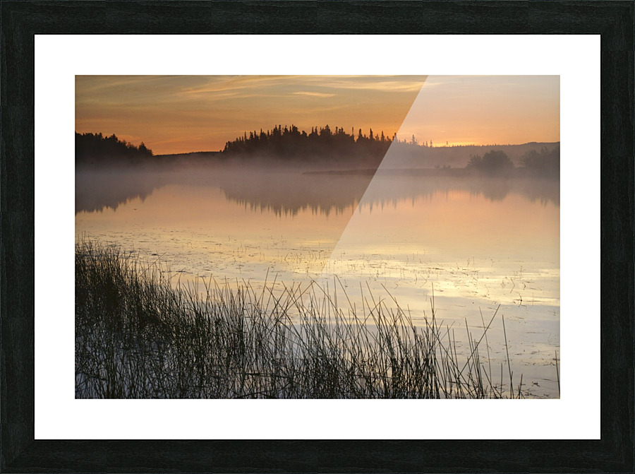 morning glow Picture Frame print