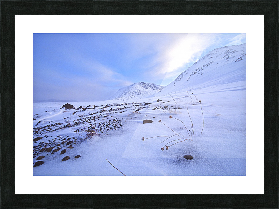 resilience Picture Frame print