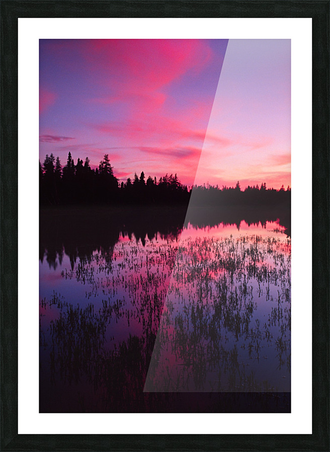 barneys brook Picture Frame print