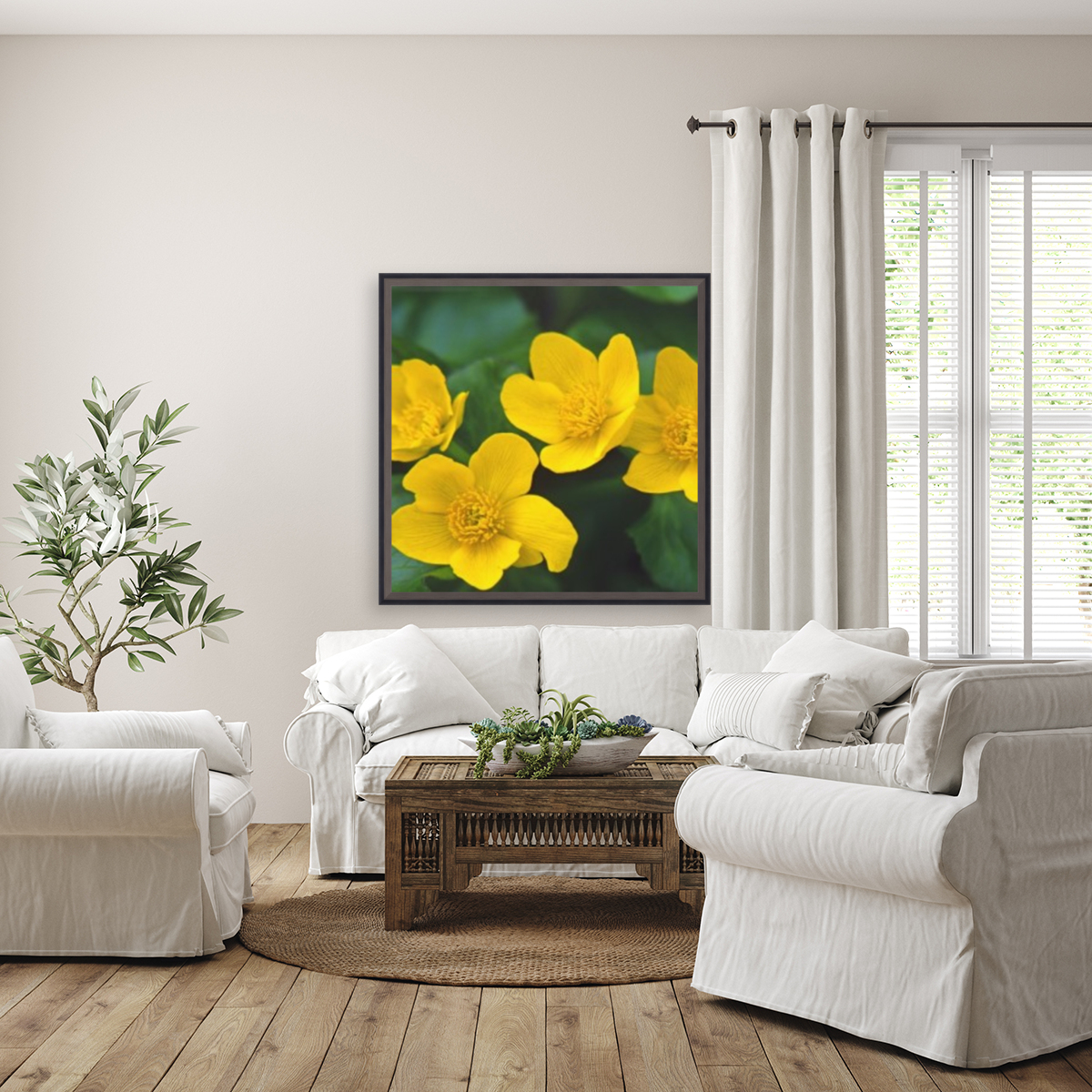marsh marigold Reproduction
