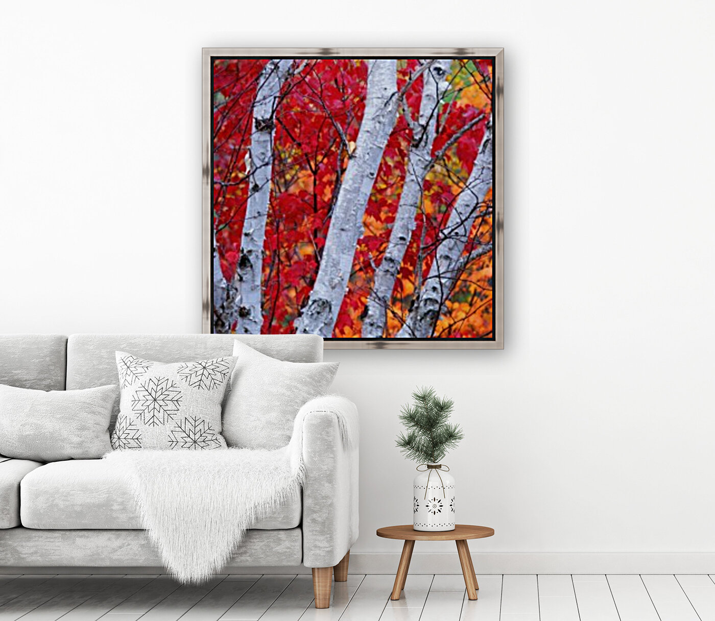 white birches Reproduction