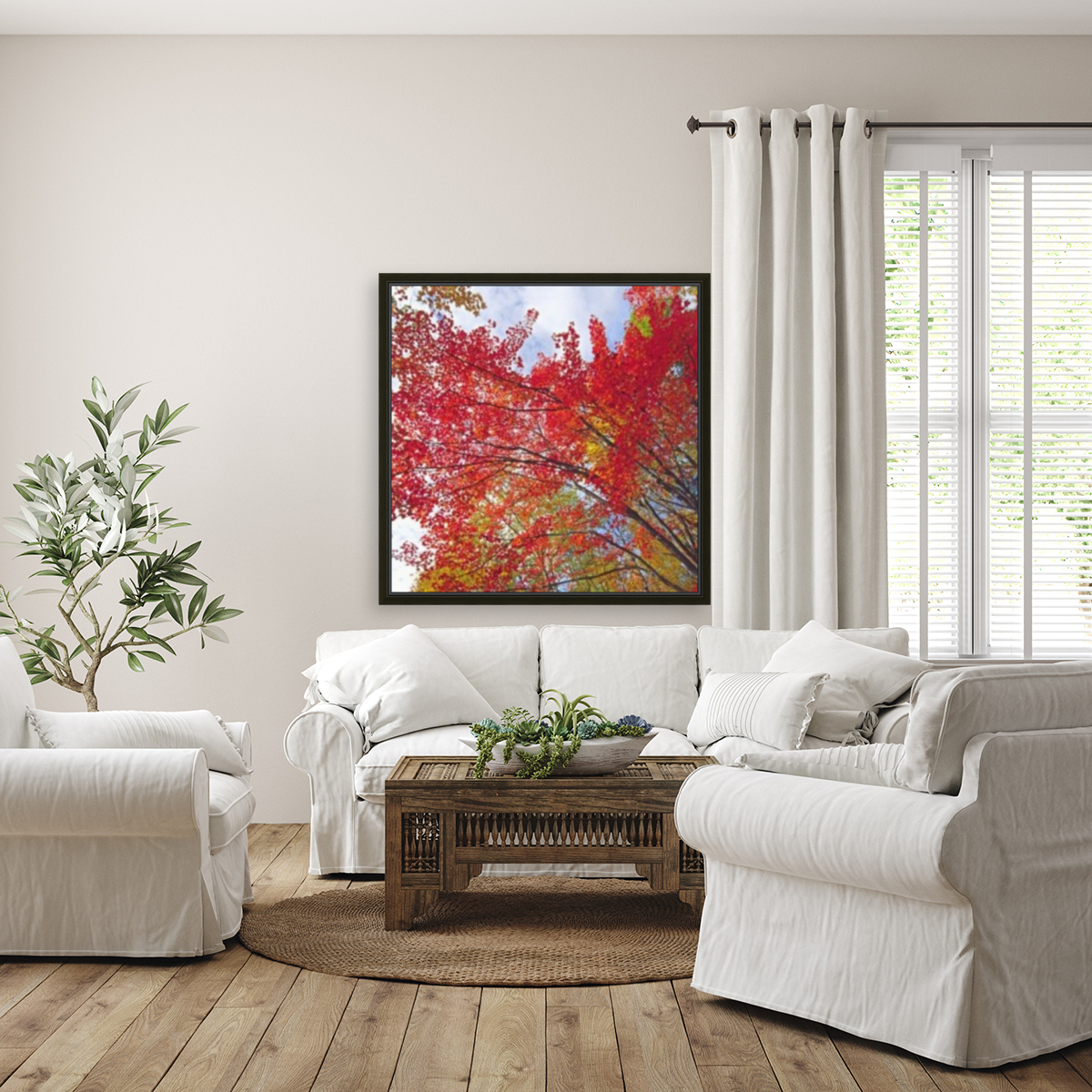 red maple Reproduction