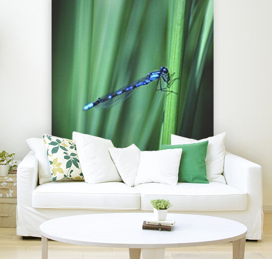 bluet Reproduction