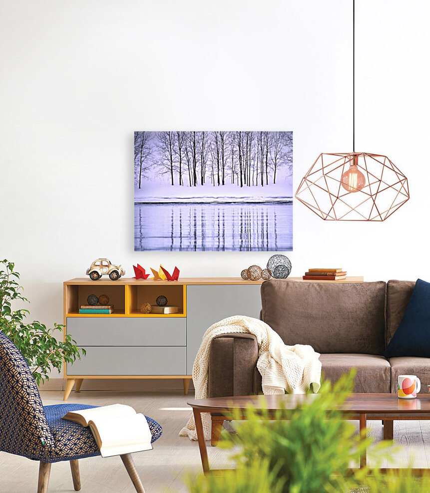 winter aspen Reproduction