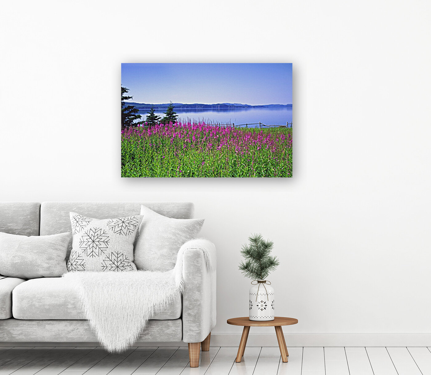fireweed Reproduction