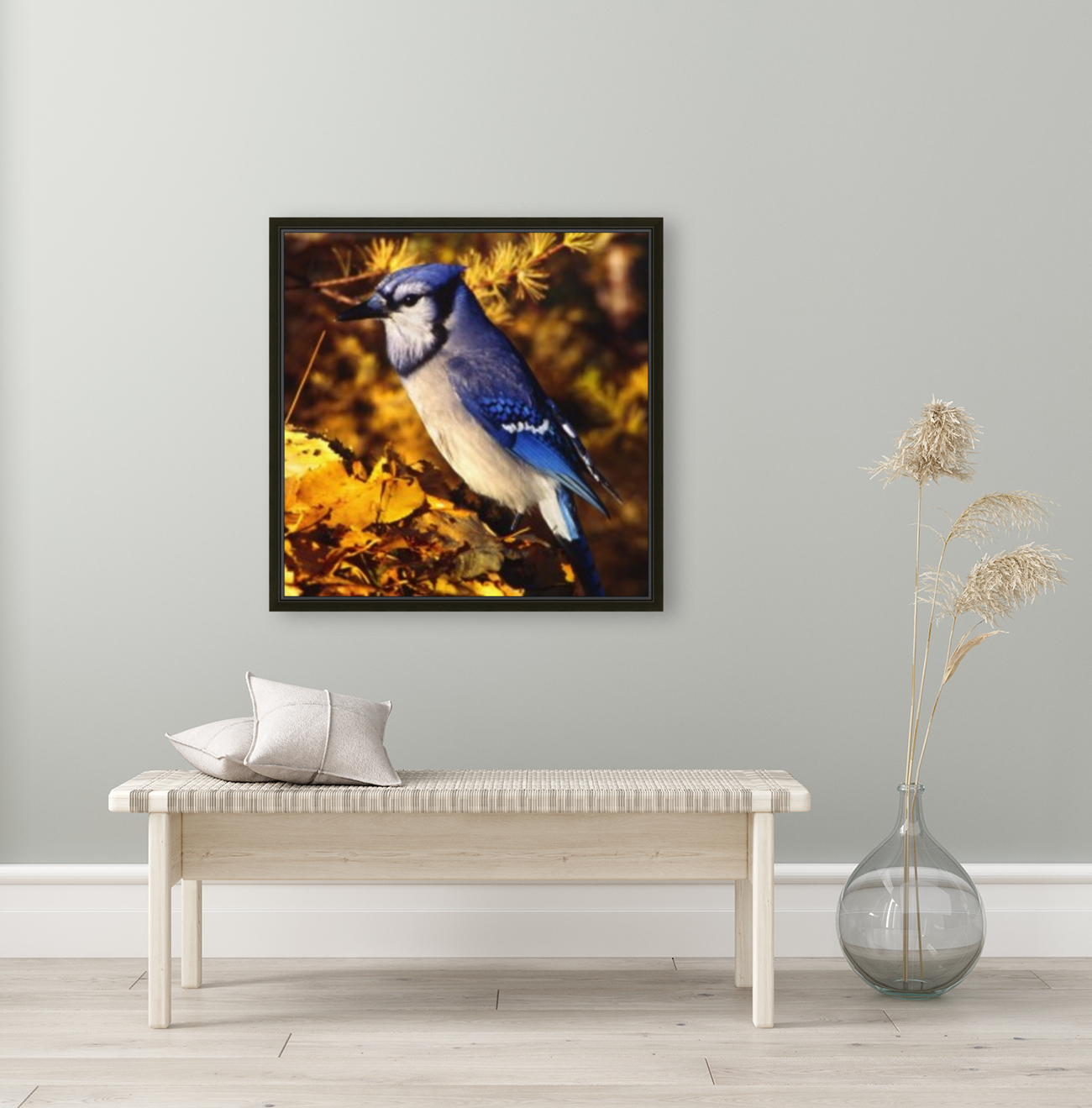 blue jay Reproduction