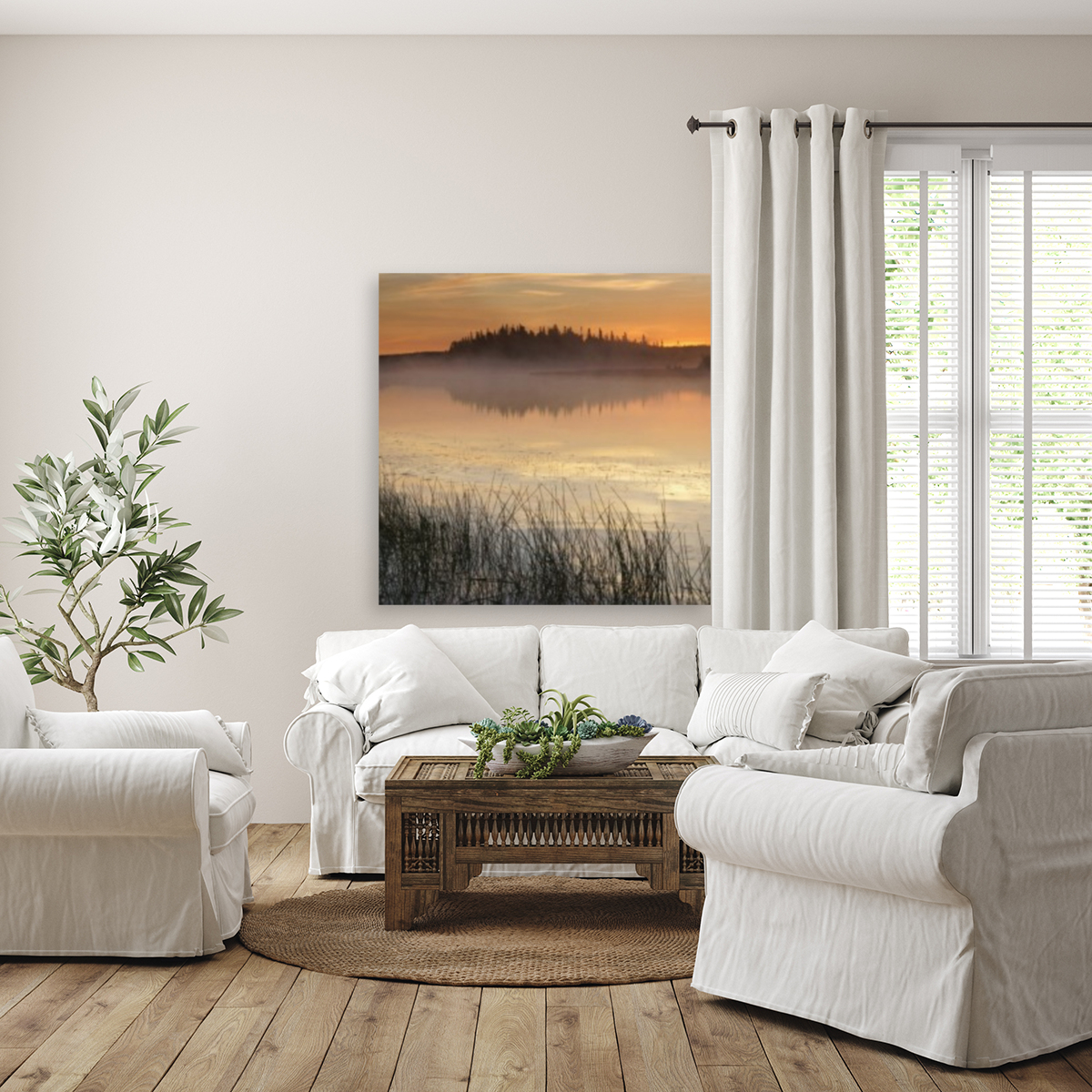morning glow Reproduction