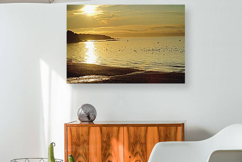 golden beach by David J Tilley