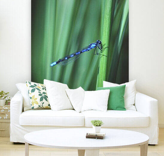 bluet by David J Tilley