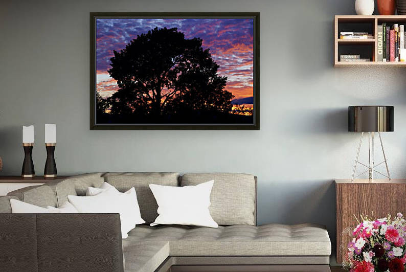 silhouetted aspen by David J Tilley