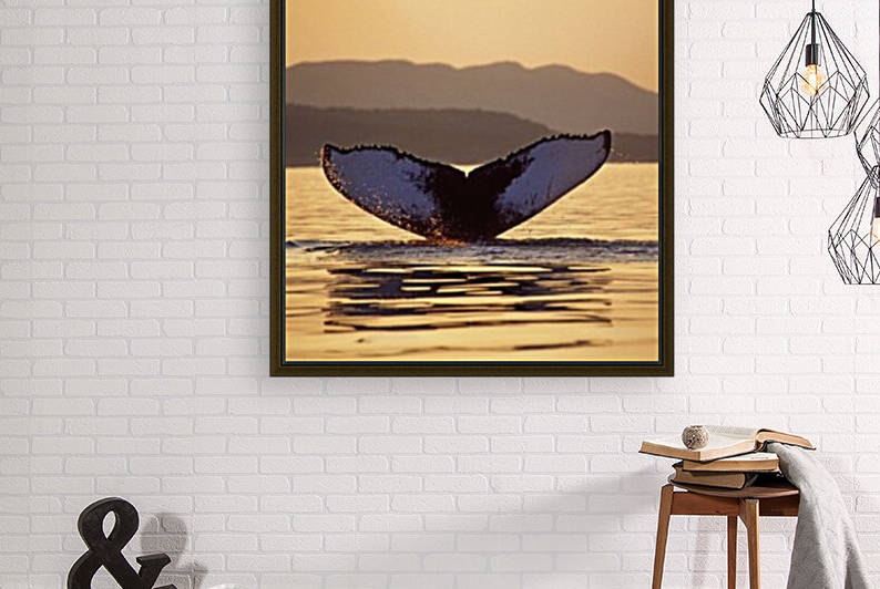 humpback fluke by David J Tilley
